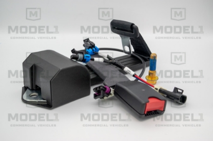 Picture of 2 POINT SEAT BELT